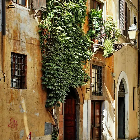 Apartment Town House - Treasurerome Collection
